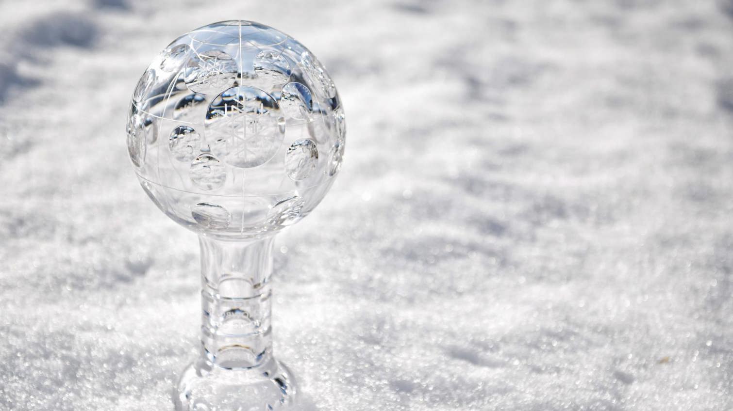 Internationaler Skiverband (FIS)
